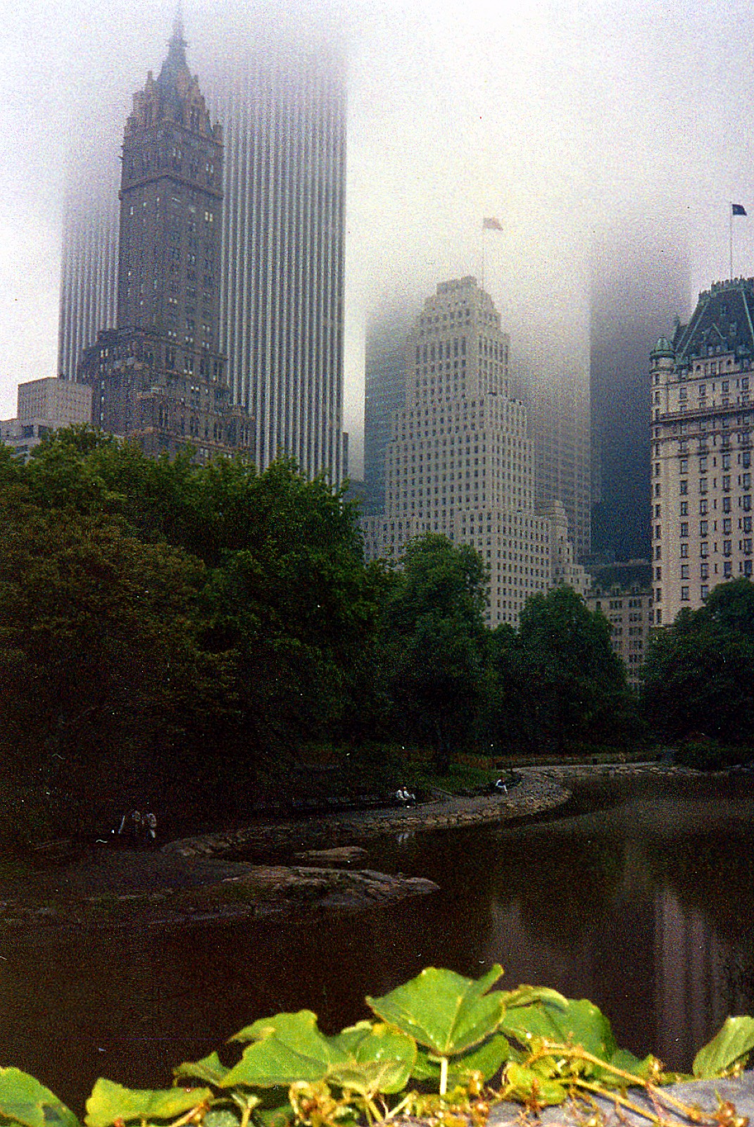 Fog swallowing the towers above the pond in Central Park, leaves in the foreground.