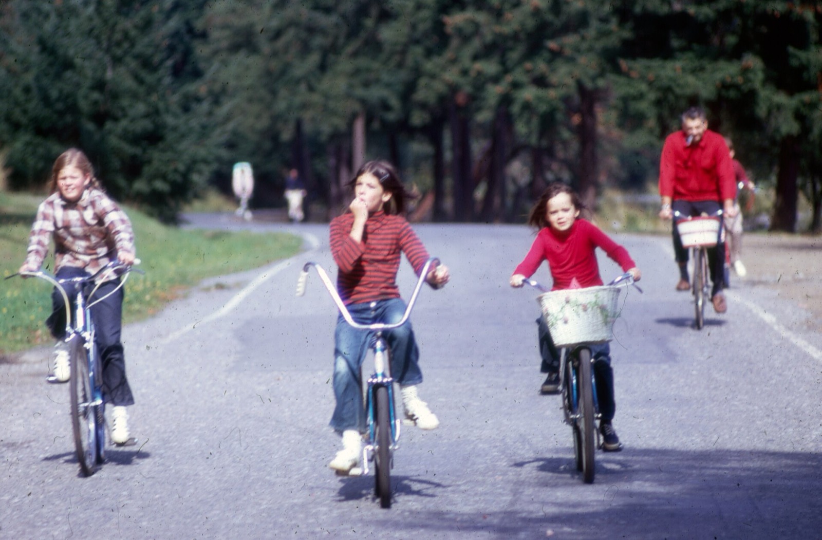 Three girls and a man riding bicycles up a park road under tall firs, one girl with a white basket.